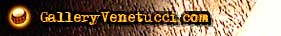 GalleryVenetucci.com